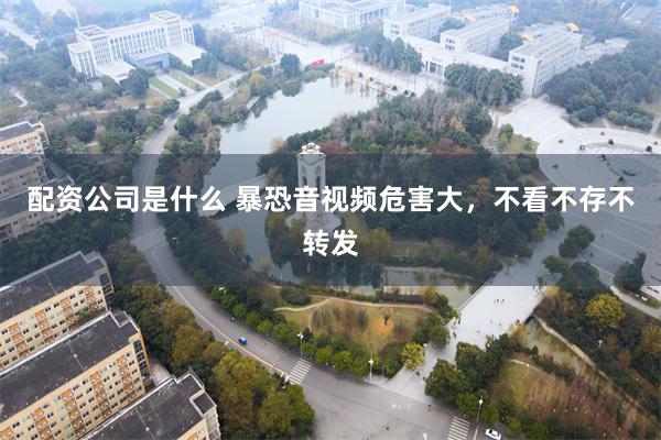 配资公司是什么 暴恐音视频危害大，不看不存不转发