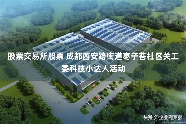 股票交易所股票 成都西安路街道枣子巷社区关工委科技小达人活动