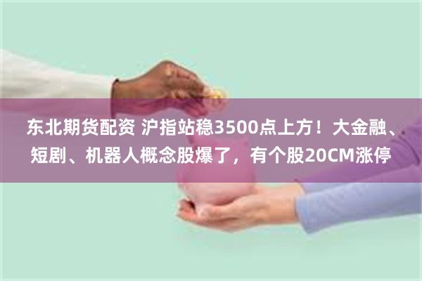 东北期货配资 沪指站稳3500点上方!大金融、短剧、机器人概念股爆了,有个股20CM涨停