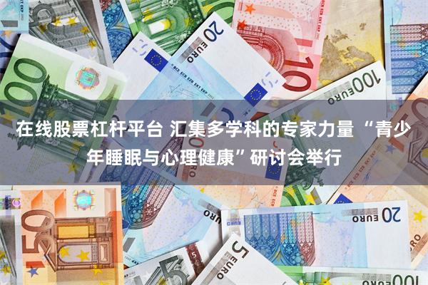 在线股票杠杆平台 汇集多学科的专家力量 “青少年睡眠与心理健康”研讨会举行