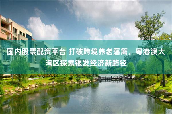 国内股票配资平台 打破跨境养老藩篱，粤港澳大湾区探索银发经济新路径