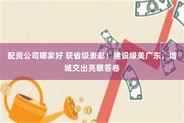 配资公司哪家好 获省级表彰！建设绿美广东，增城交出亮眼答卷