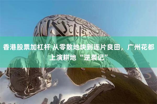 香港股票加杠杆 从零散地块到连片良田，广州花都上演耕地 “逆袭记”