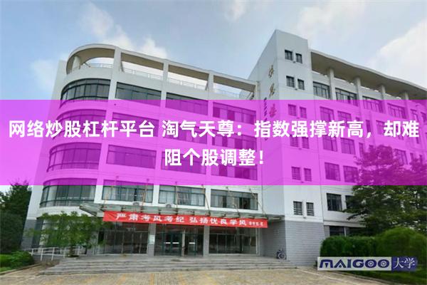 网络炒股杠杆平台 淘气天尊:指数强撑新高,却难阻个股调整!