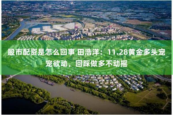 股市配资是怎么回事 田浩洋：11.28黄金多头宠宠欲动，回踩做多不动摇