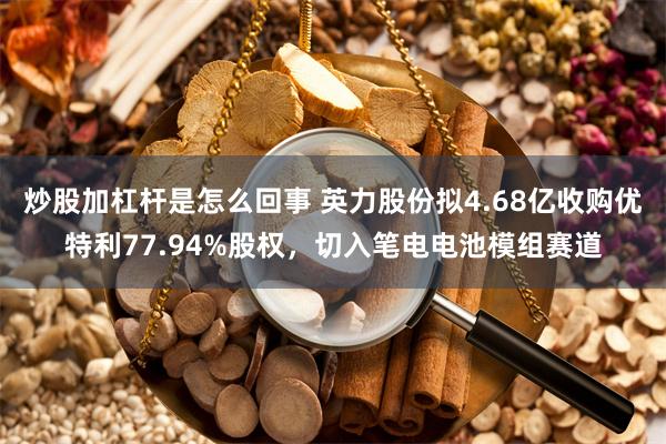 炒股加杠杆是怎么回事 英力股份拟4.68亿收购优特利77.94%股权，切入笔电电池模组赛道