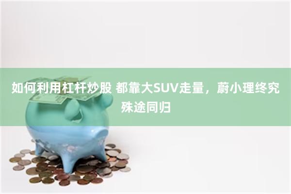 如何利用杠杆炒股 都靠大SUV走量，蔚小理终究殊途同归
