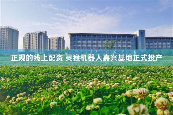 正规的线上配资 灵猴机器人嘉兴基地正式投产
