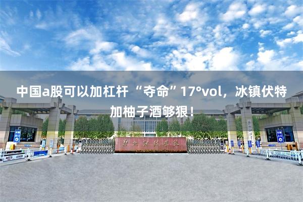 中国a股可以加杠杆 “夺命”17°vol，冰镇伏特加柚子酒够狠！
