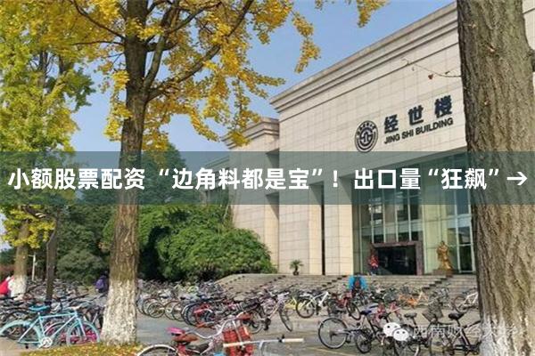 小额股票配资 “边角料都是宝”!出口量“狂飙”→