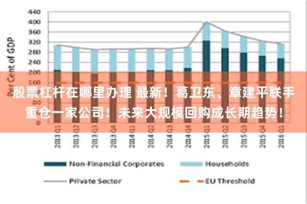 股票杠杆在哪里办理 最新！葛卫东、章建平联手重仓一家公司！未来大规模回购成长期趋势！
