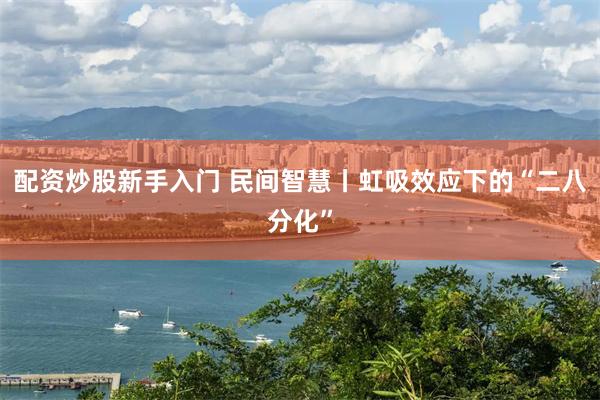 配资炒股新手入门 民间智慧丨虹吸效应下的“二八分化”