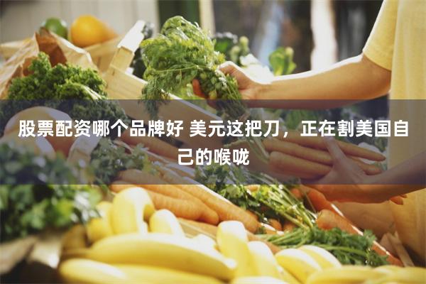 股票配资哪个品牌好 美元这把刀，正在割美国自己的喉咙