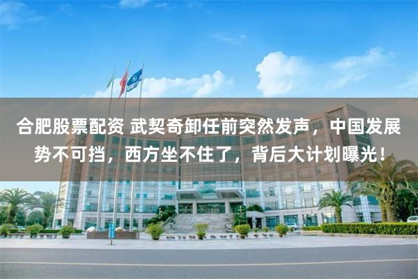 合肥股票配资 武契奇卸任前突然发声,中国发展势不可挡,西方坐不住了,背后大计划曝光!