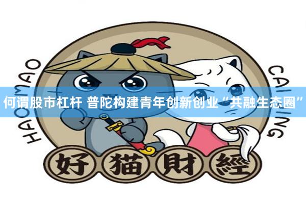 何谓股市杠杆 普陀构建青年创新创业“共融生态圈”