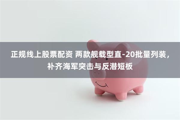 正规线上股票配资 两款舰载型直-20批量列装,补齐海军突击与反潜短板