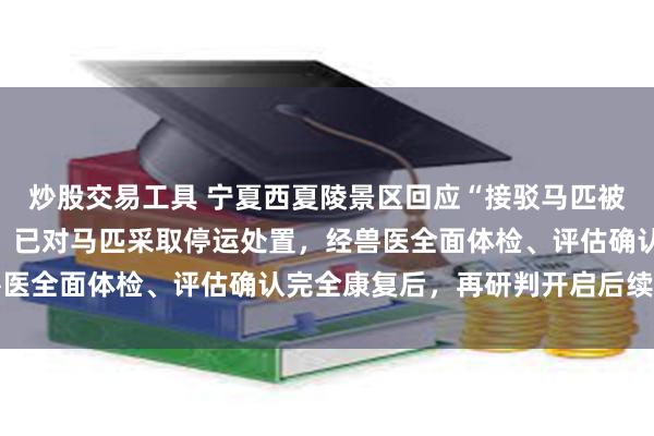 炒股交易工具 宁夏西夏陵景区回应“接驳马匹被挽具磨伤”:情况属实,已对马匹采取停运处置,经兽医全面体检、评估确认完全康复后,再研判开启后续作业