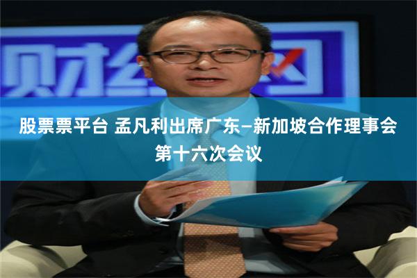 股票票平台 孟凡利出席广东—新加坡合作理事会第十六次会议