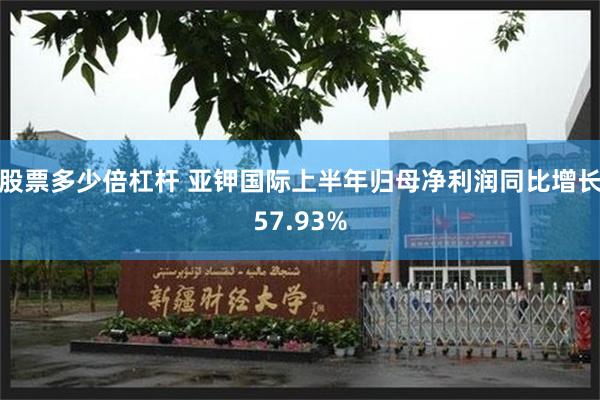 股票多少倍杠杆 亚钾国际上半年归母净利润同比增长57.93%