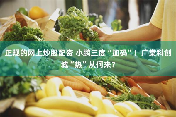 正规的网上炒股配资 小鹏三度“加码”!广棠科创城“热”从何来?