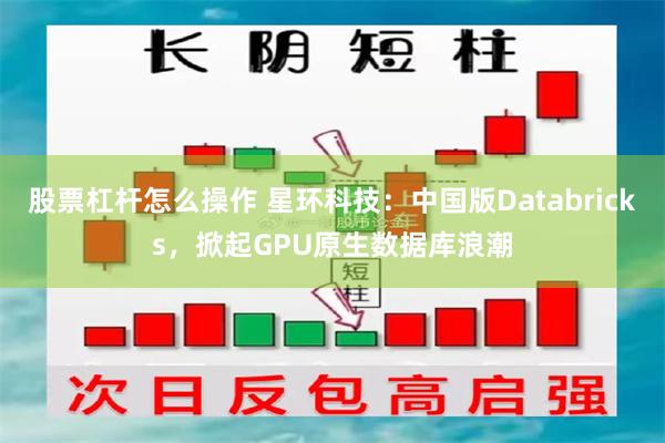 股票杠杆怎么操作 星环科技:中国版Databricks,掀起GPU原生数据库浪潮