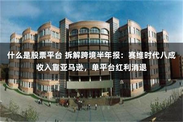 什么是股票平台 拆解跨境半年报：赛维时代八成收入靠亚马逊，单平台红利消退