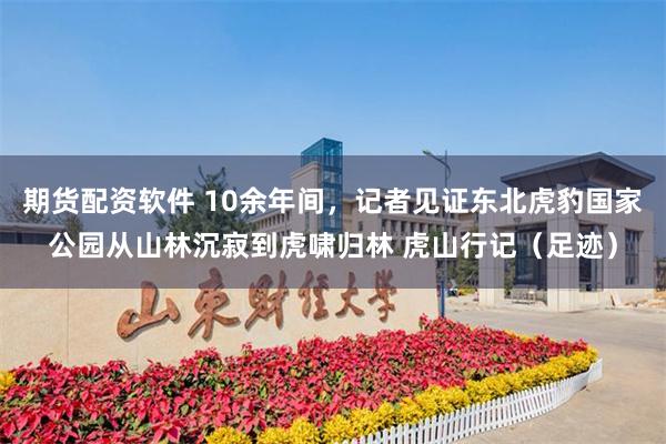 期货配资软件 10余年间，记者见证东北虎豹国家公园从山林沉寂到虎啸归林 虎山行记（足迹）