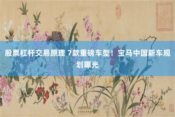 股票杠杆交易原理 7款重磅车型！宝马中国新车规划曝光
