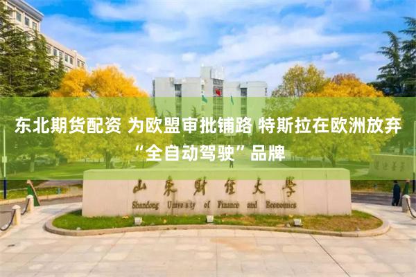 东北期货配资 为欧盟审批铺路 特斯拉在欧洲放弃“全自动驾驶”品牌