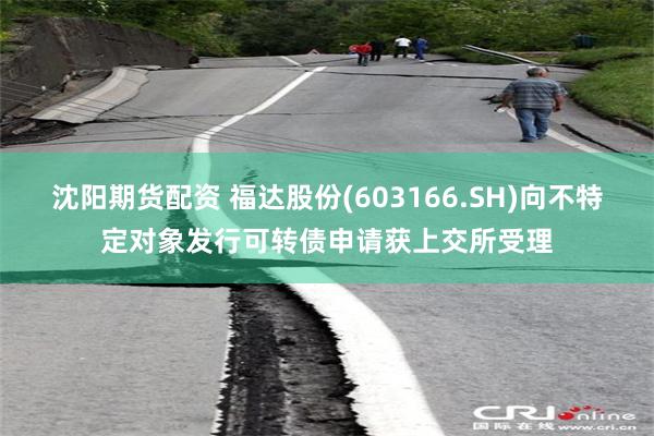 沈阳期货配资 福达股份(603166.SH)向不特定对象发行可转债申请获上交所受理