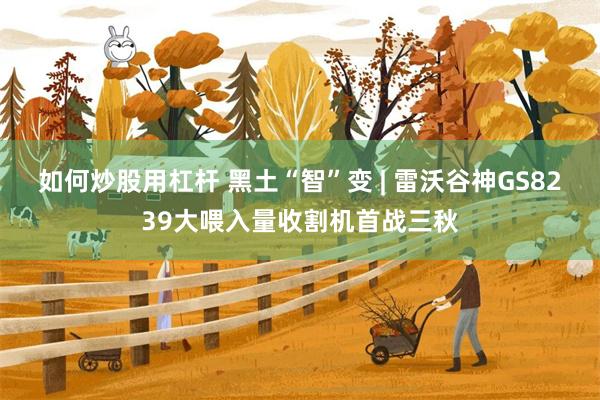 如何炒股用杠杆 黑土“智”变 | 雷沃谷神GS8239大喂入量收割机首战三秋