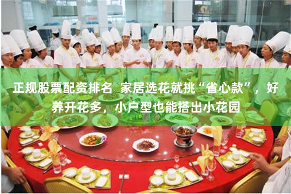 正规股票配资排名  家居选花就挑“省心款”，好养开花多，小户型也能搭出小花园